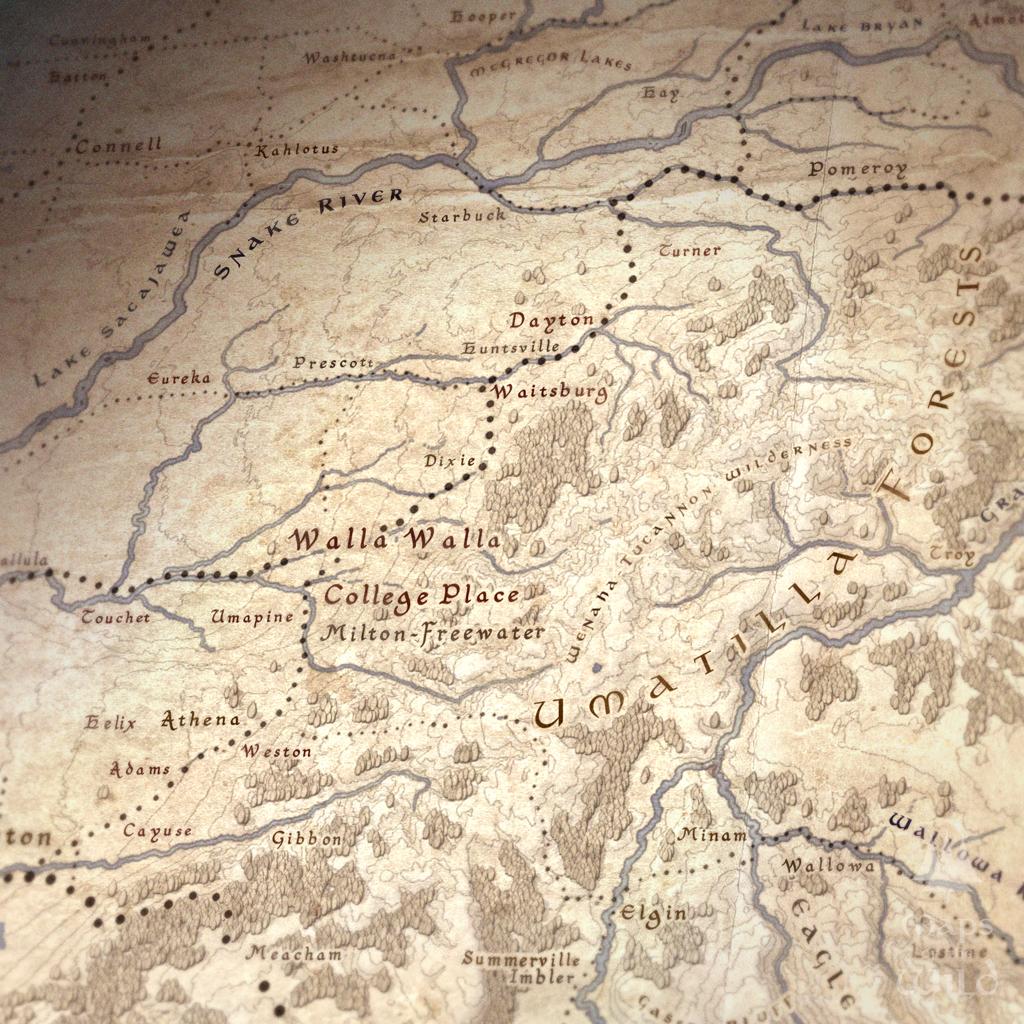 Washington wall map done in fantasy art style for home and office decor.